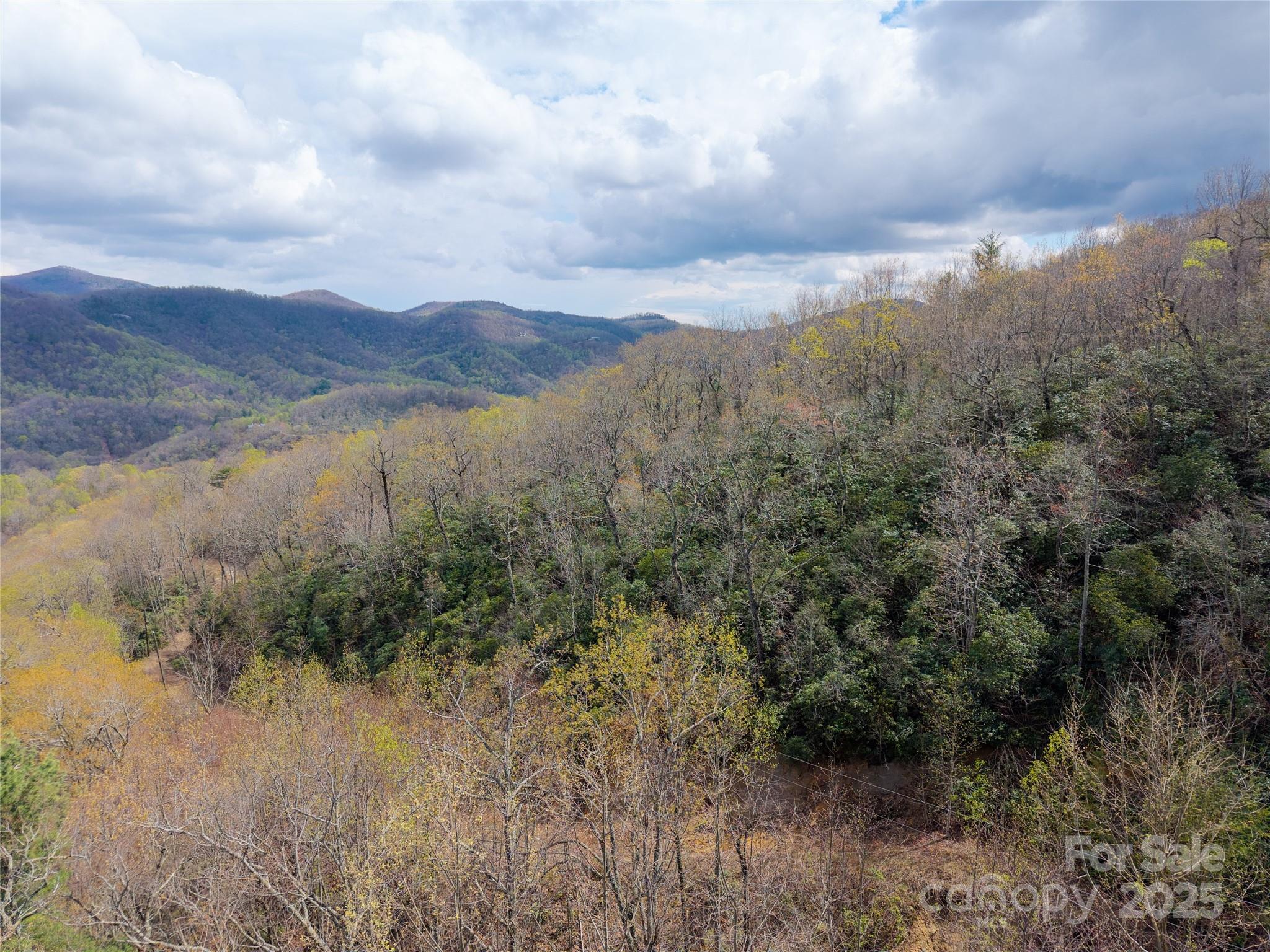 Hardison Estate - Land