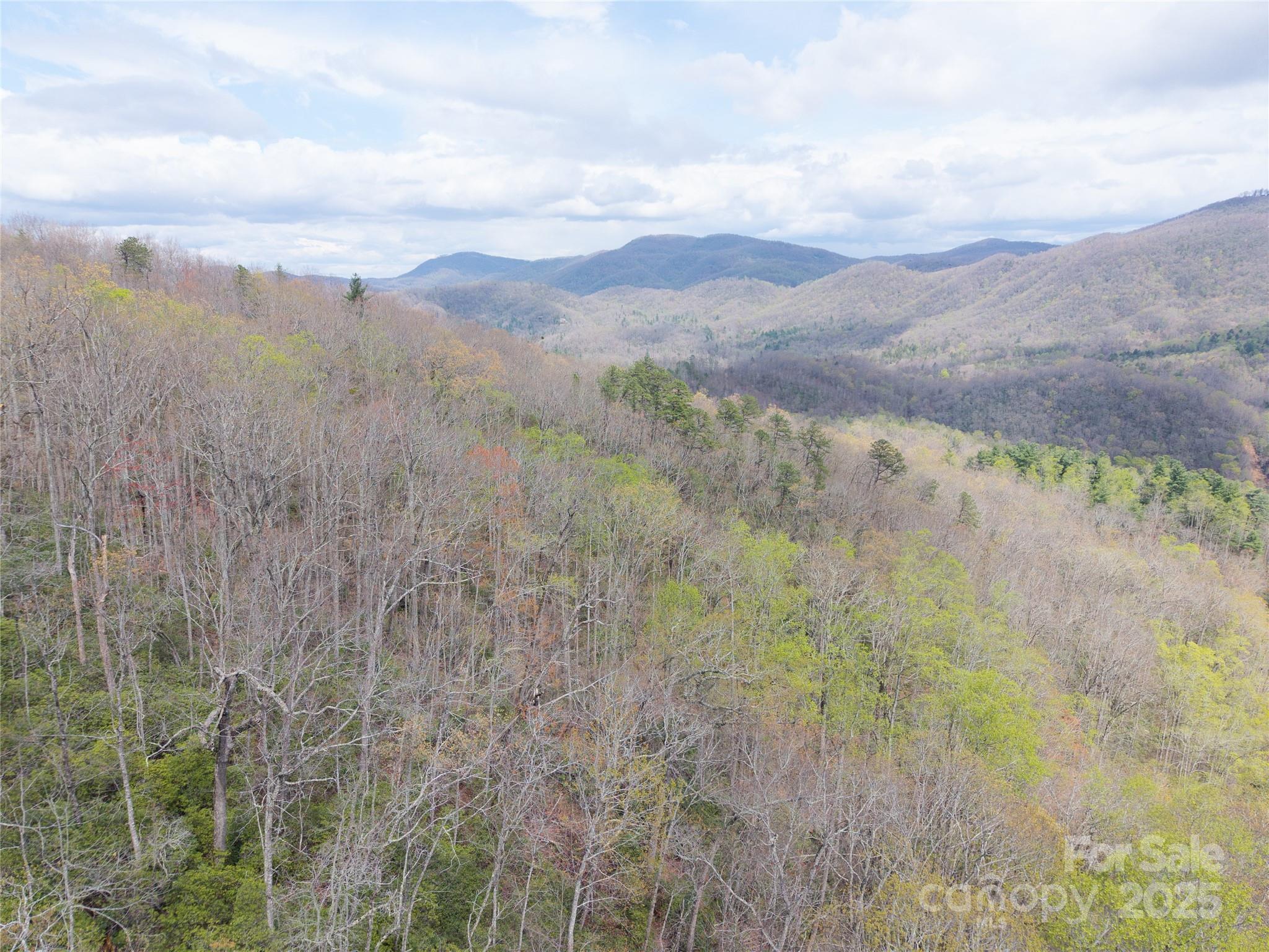 Hardison Estate - Land