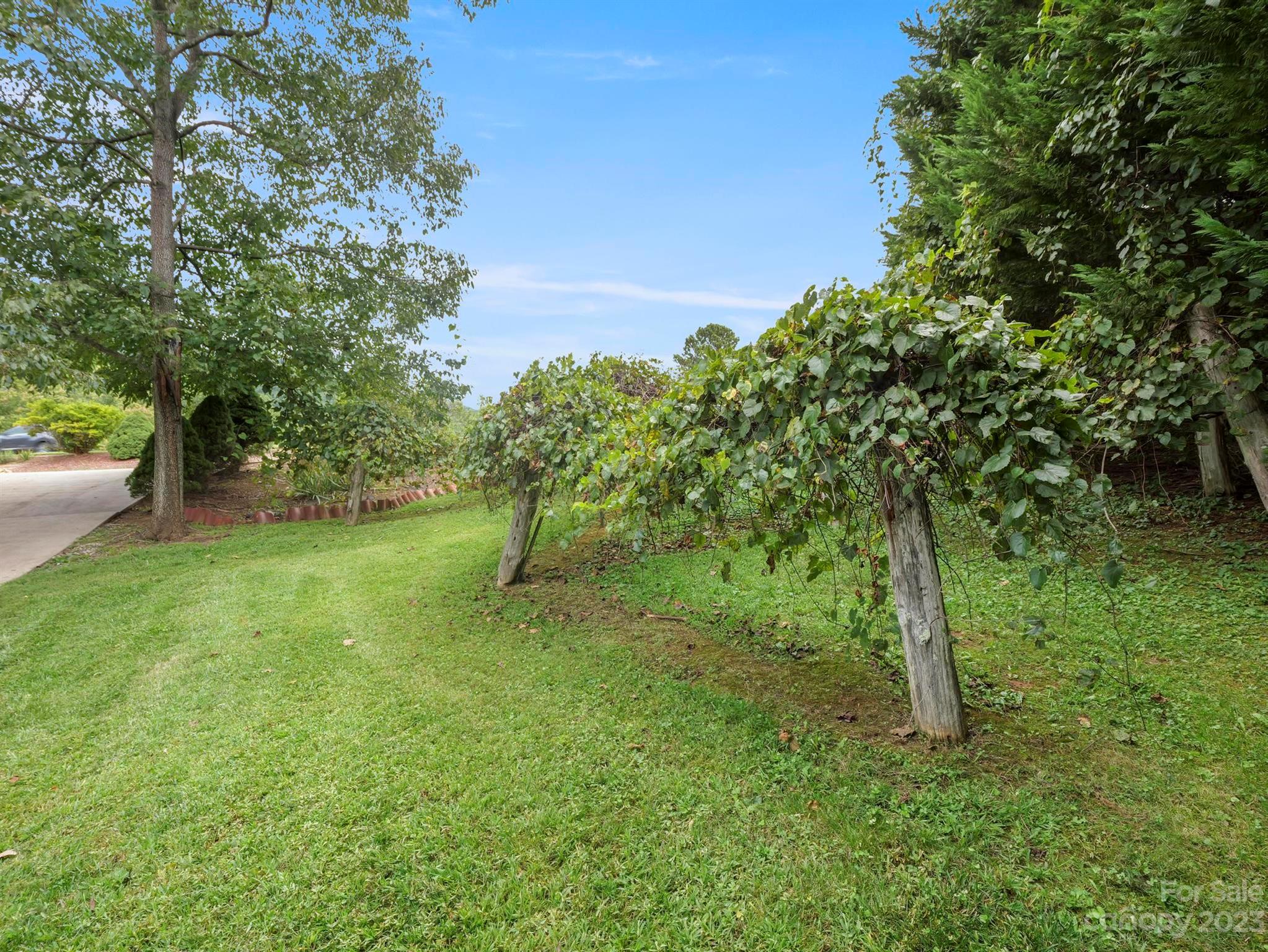 Rumbling Bald on Lake Lure - Residential