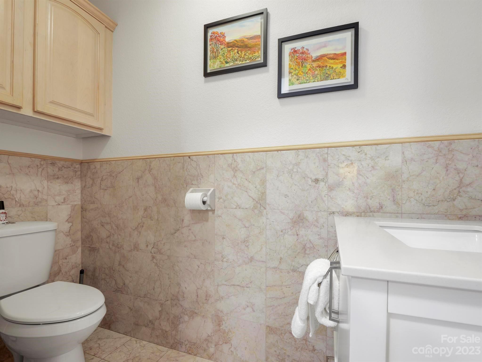 Rumbling Bald on Lake Lure - Residential