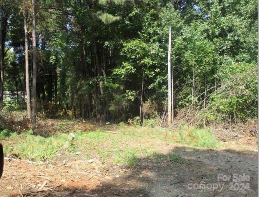 SITE IS MOSTLY WOODED, WITH A SMALL PORTION OF THE LOT CLEARED. INTERIOR LOT, LOCATED BETWEEN
TWO UNIMPROVED LOTS, WITH TWO IMPROVED RESIDENTIAL LOTS TO THE REAR.