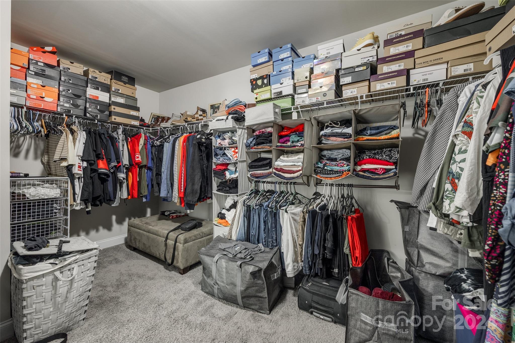 Palm Tree Cove II - Residential