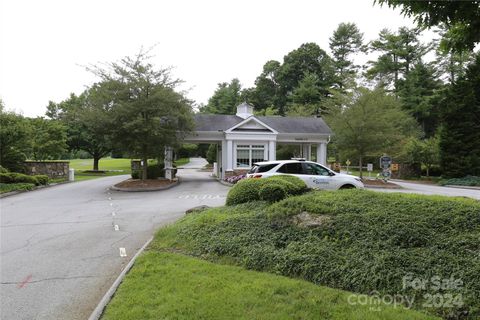 A home in Flat Rock