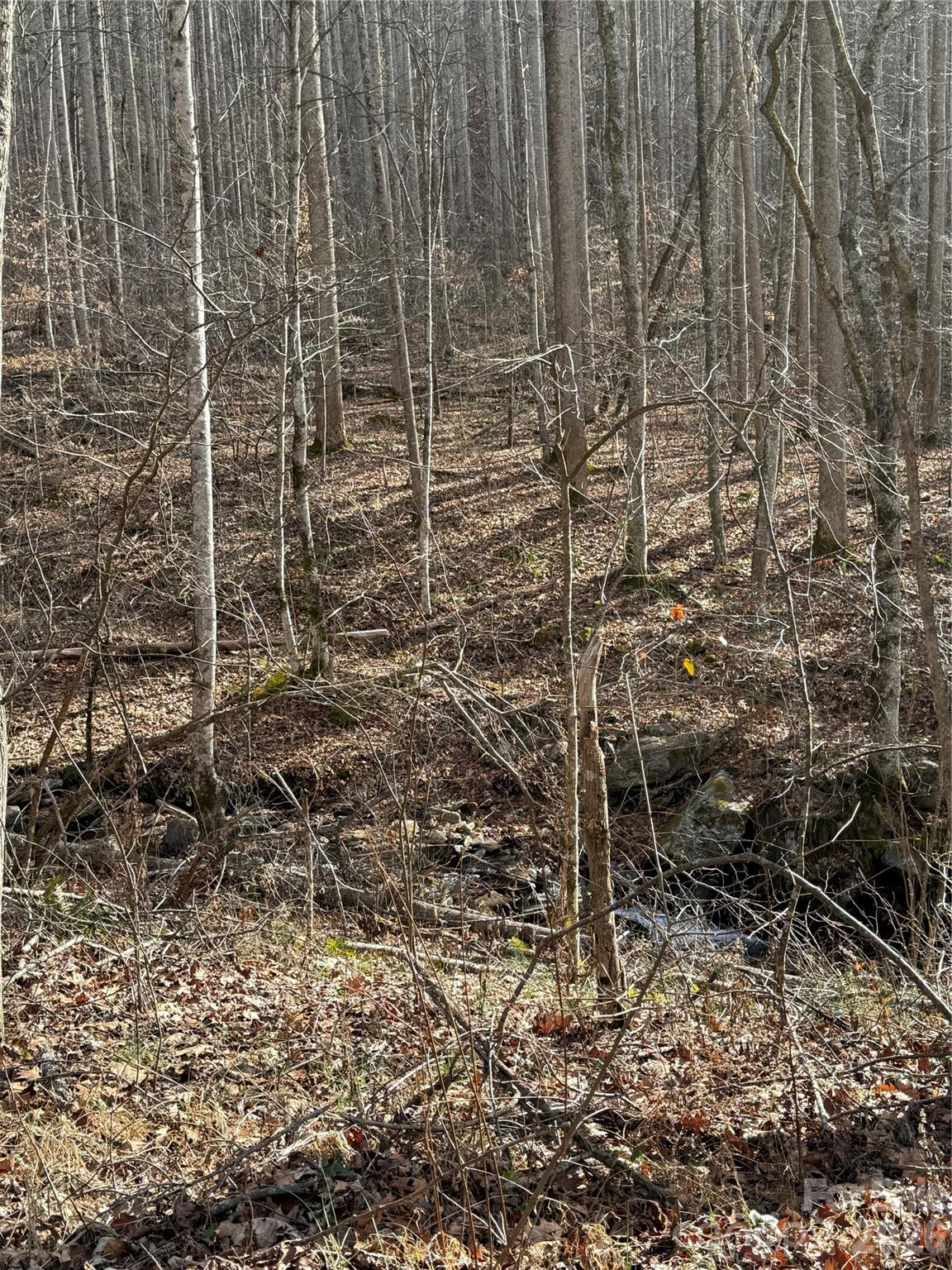 00000 Martins Creek Road