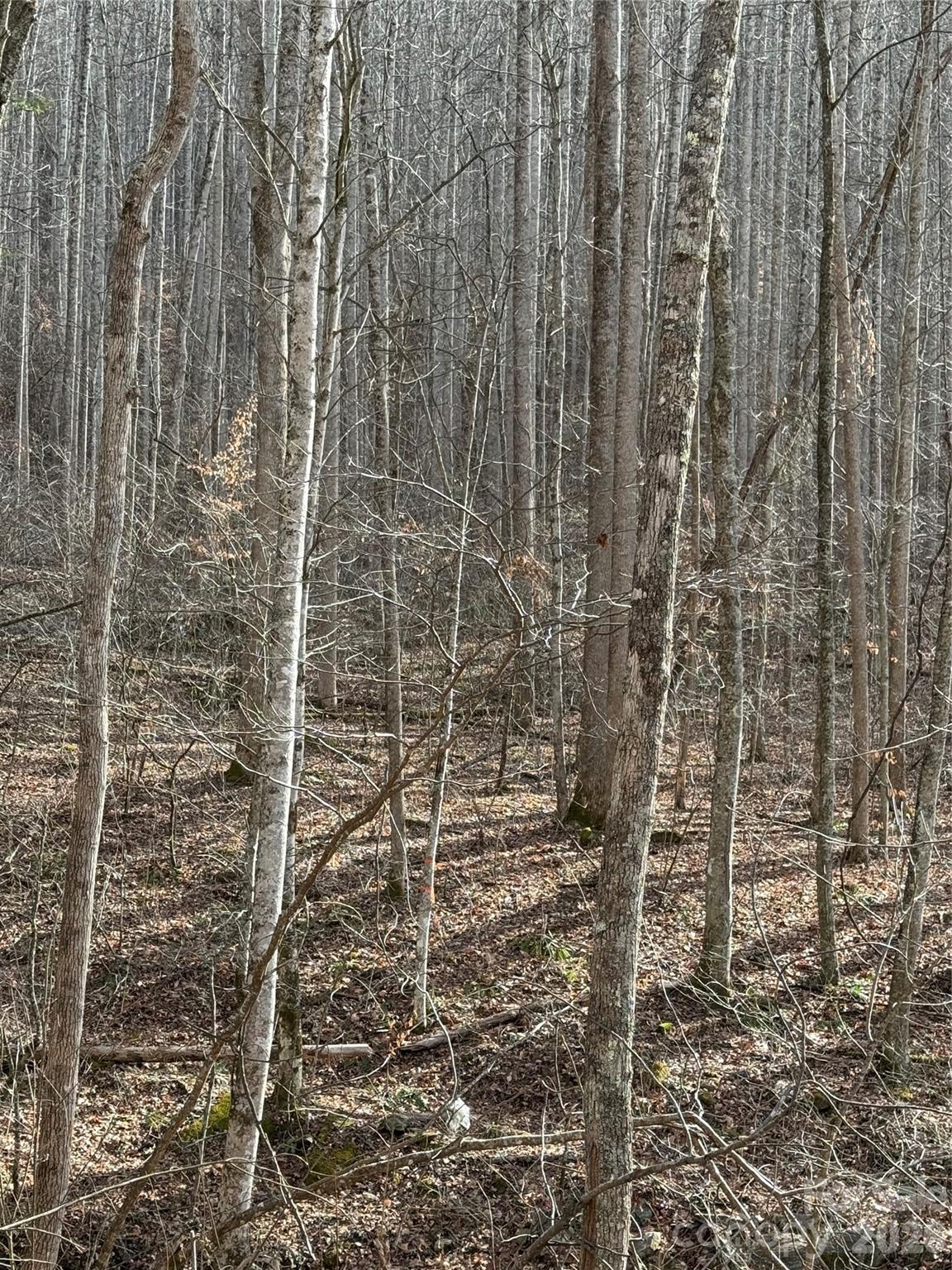 00000 Martins Creek Road