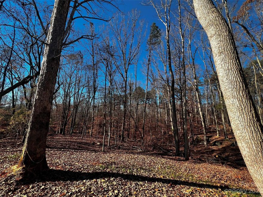 Incredible opportunity to build your DREAM home just minutes from downtown Davidson with low Iredell County taxes in brand-new custom home community, Copper Pine! Estate-sized, wooded homesite with quick access to fabulous boutiques, gourmet restaurants, Village Green Park, and more. A great location for your luxury custom home to be built by repeat "Best of the Lake" winners, AR Homes - Monterey Bay Construction Charlotte. Choose from a wide variety of fully customizable plans, including ranch and 2-story options, or partner with our experienced local team to design and build your one-of-a-kind AR Home, complete with high-end finishes throughout. Call to schedule your personalized design consultation today.