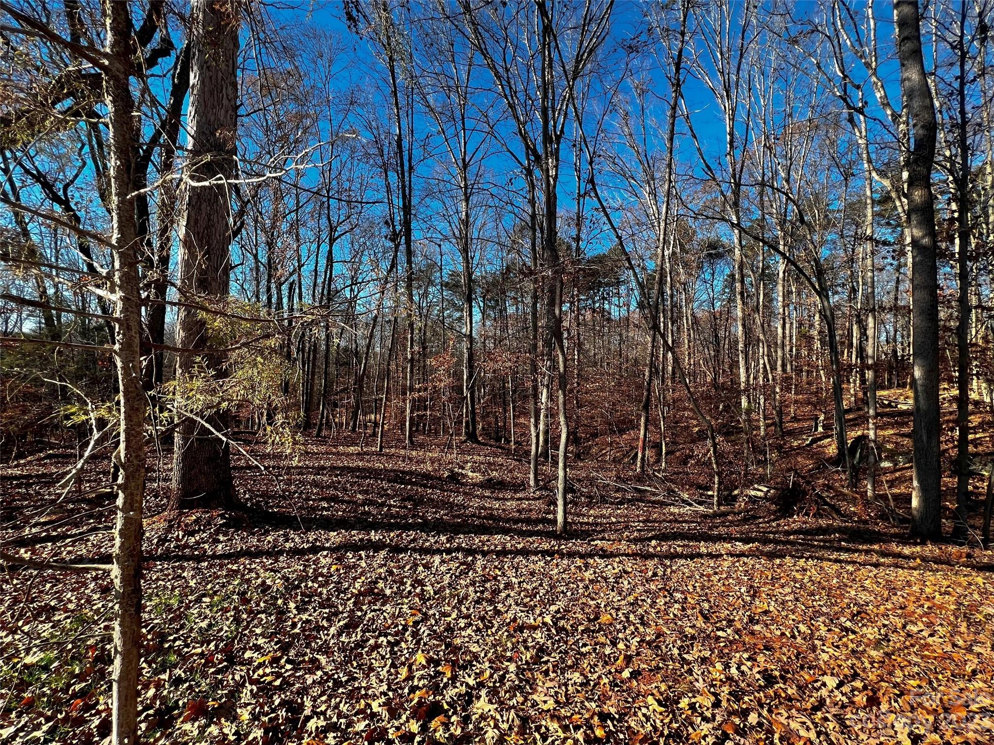 146 Copper Pine Lane 3