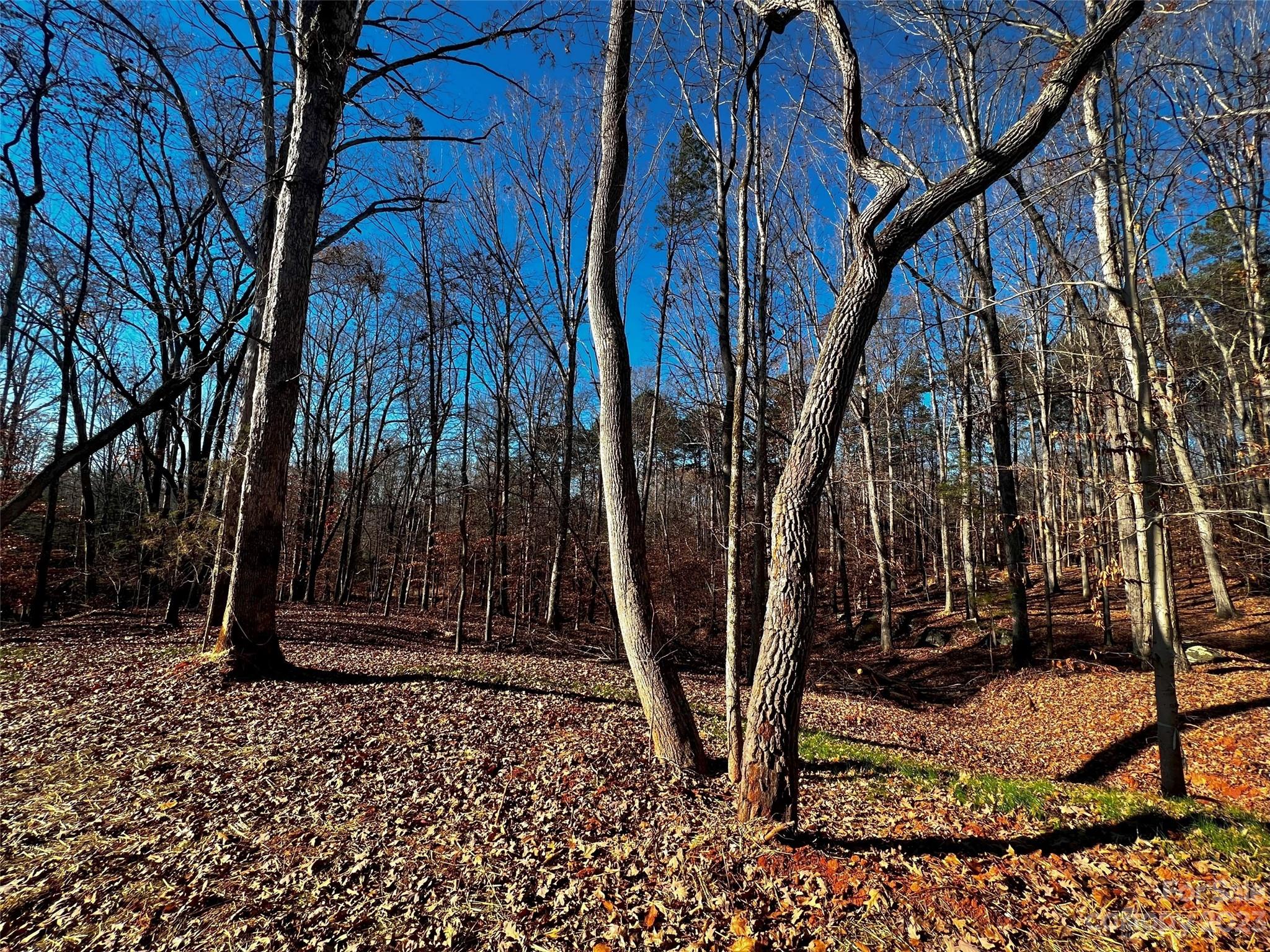 146 Copper Pine Lane 3