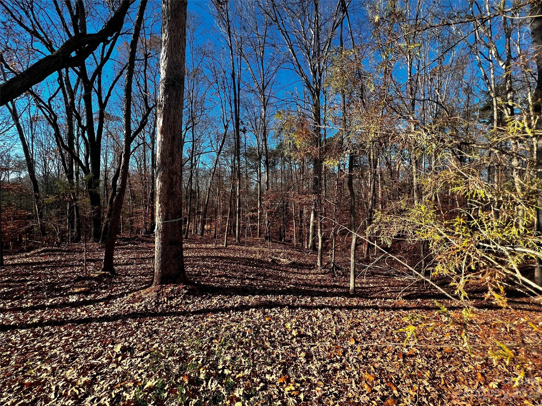 146 Copper Pine Lane 3