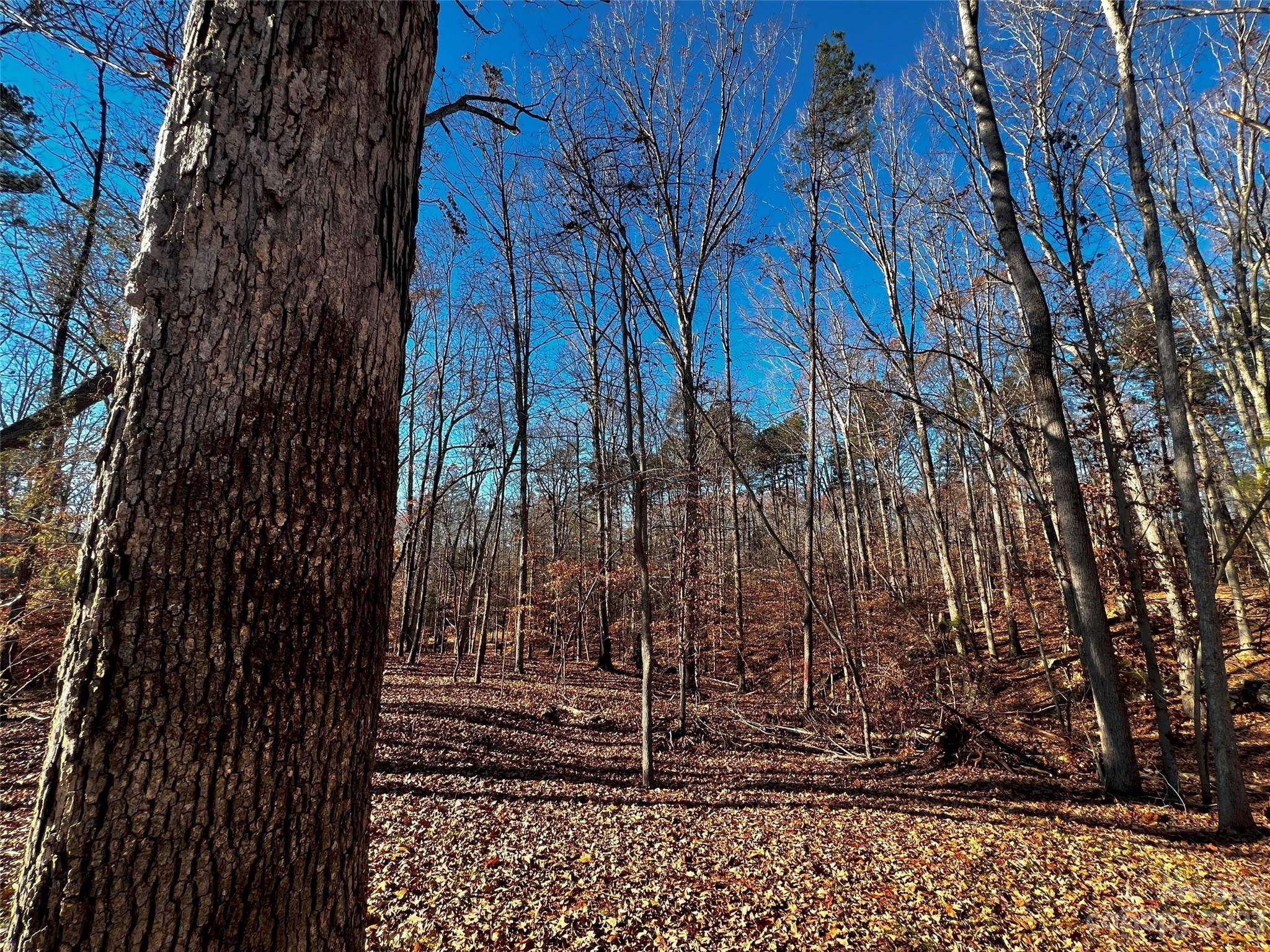 146 Copper Pine Lane 3