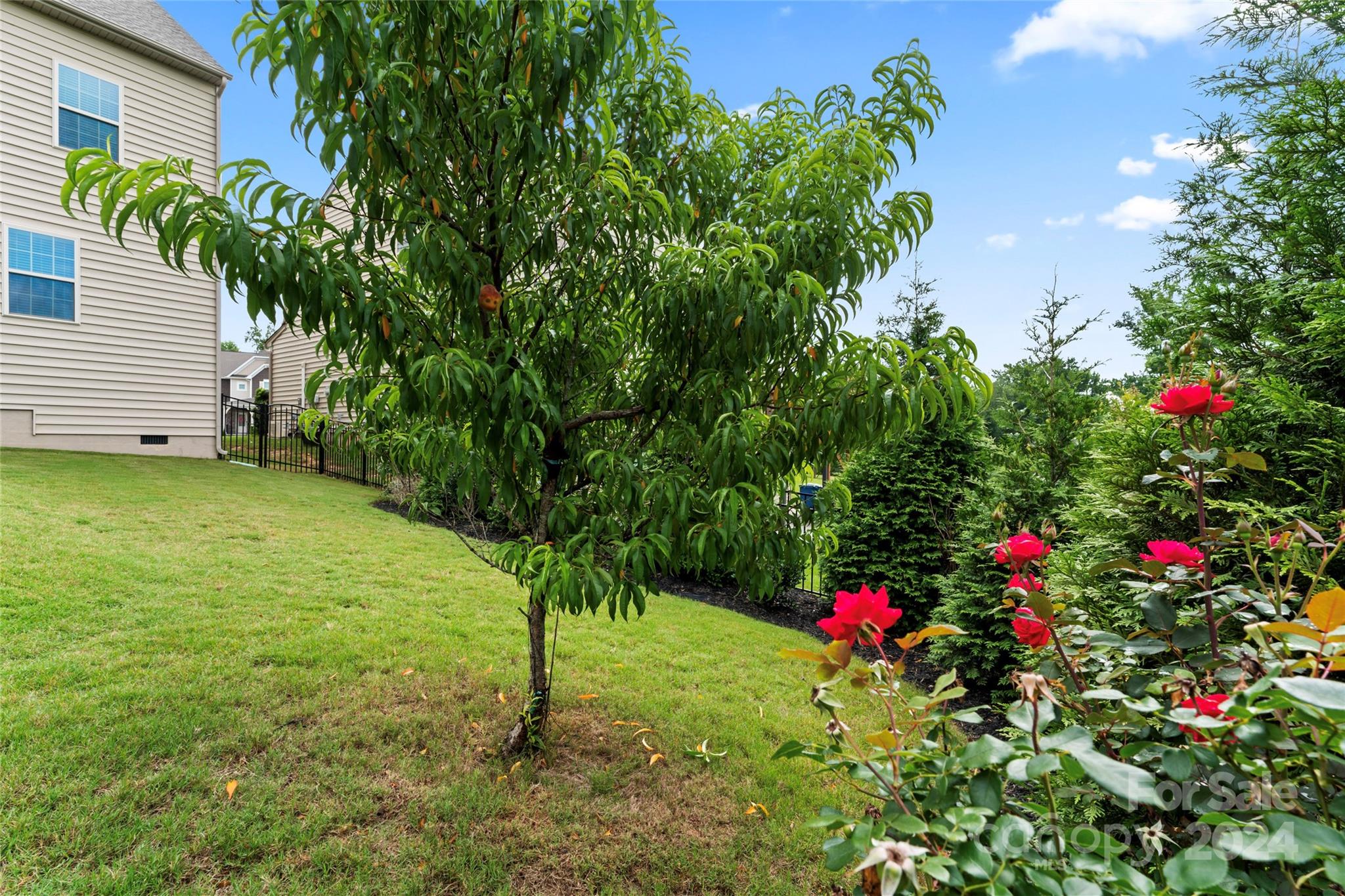 Waterside at the Catawba - Residential