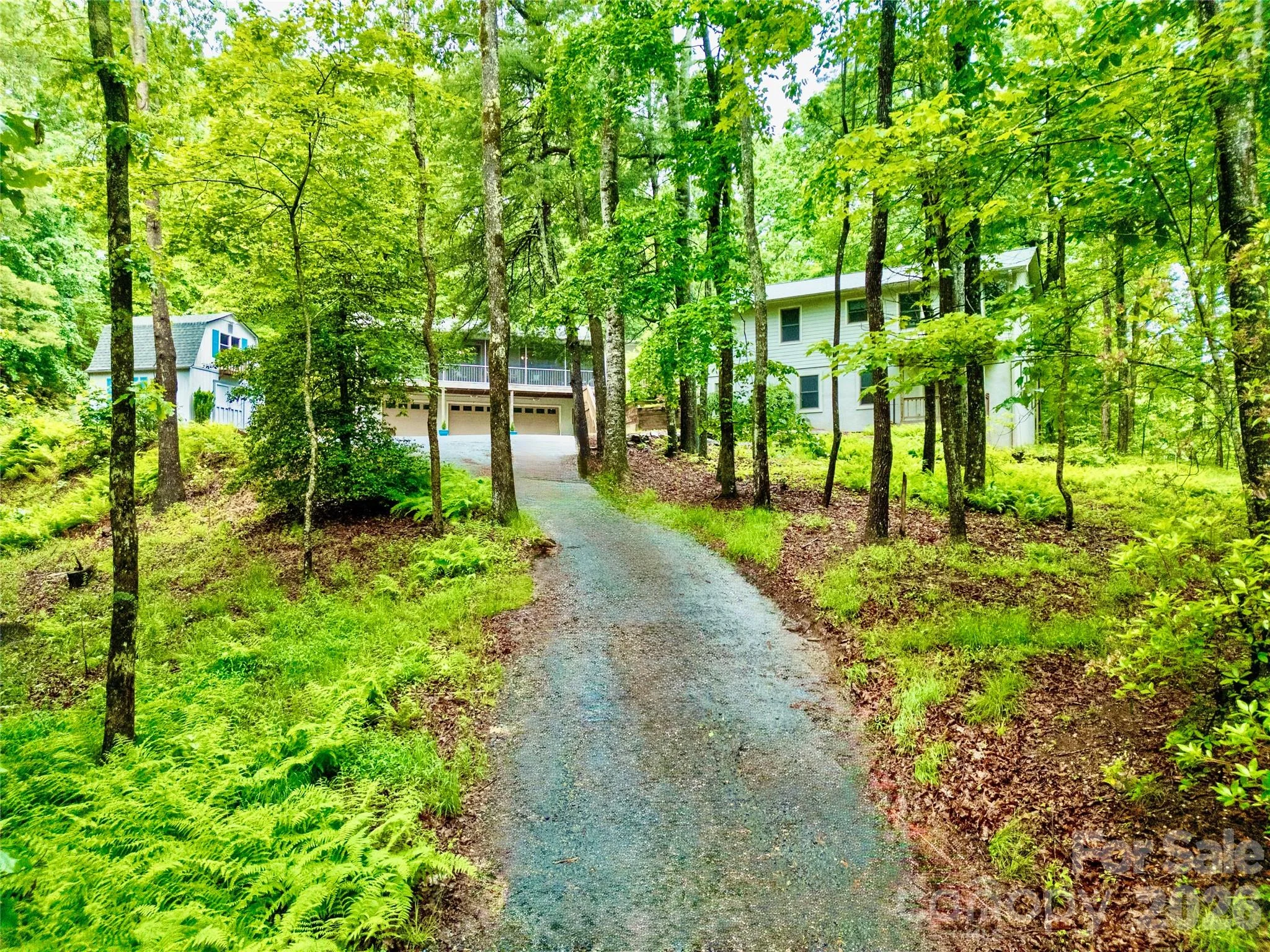 154 Chestnut Lane, Cedar Mountain, NC, 28718