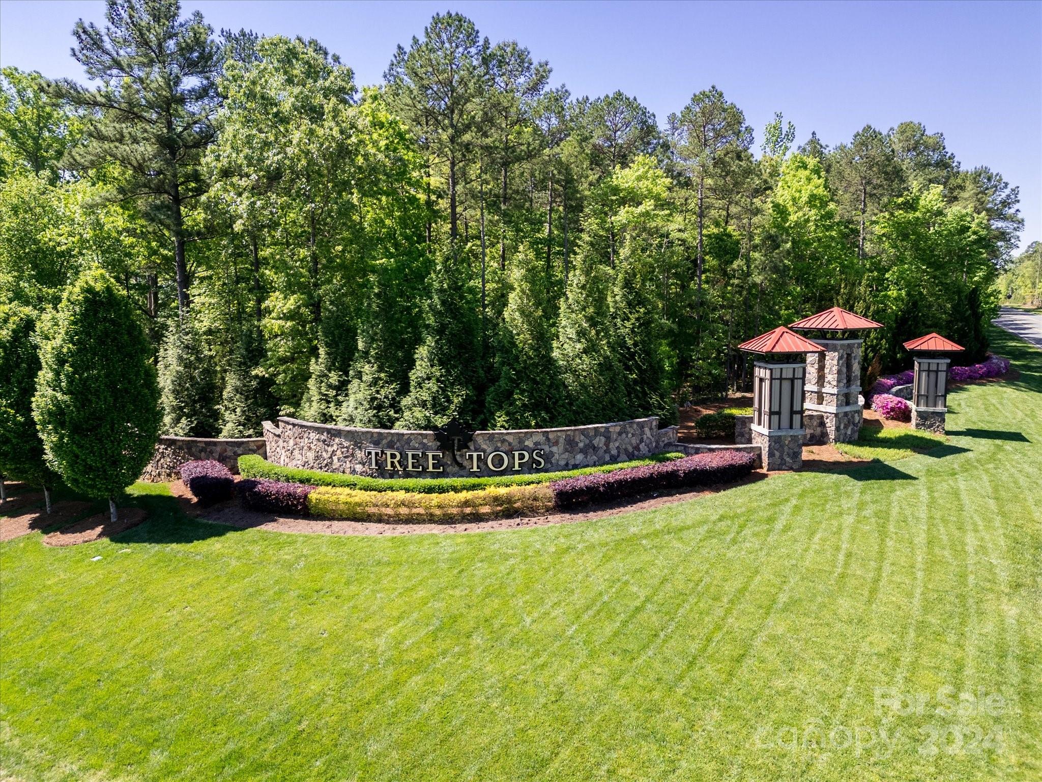 Tree tops - Residential