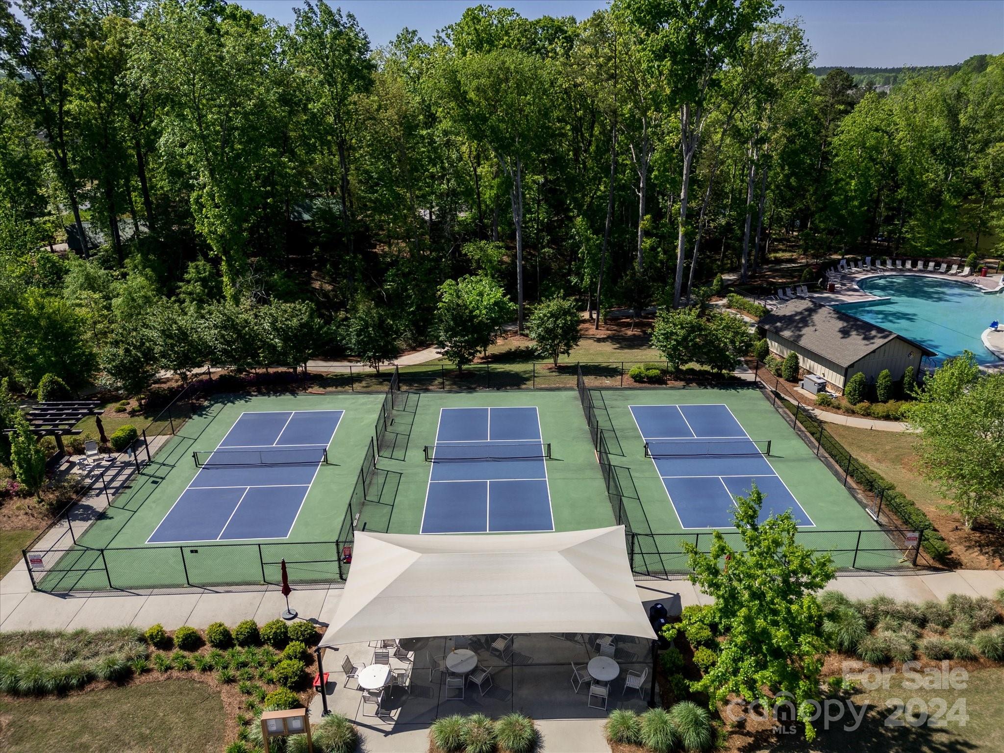 Tree tops - Residential