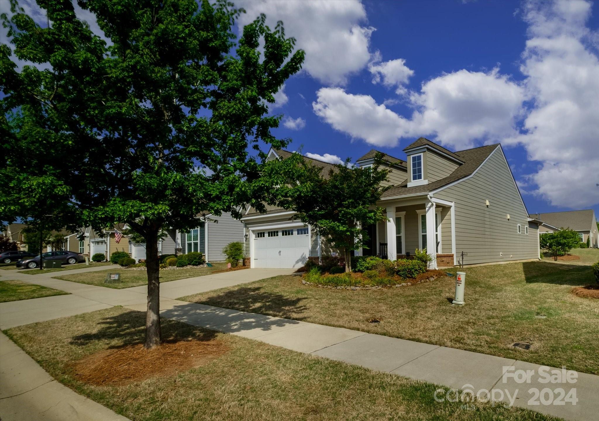 Tree tops - Residential