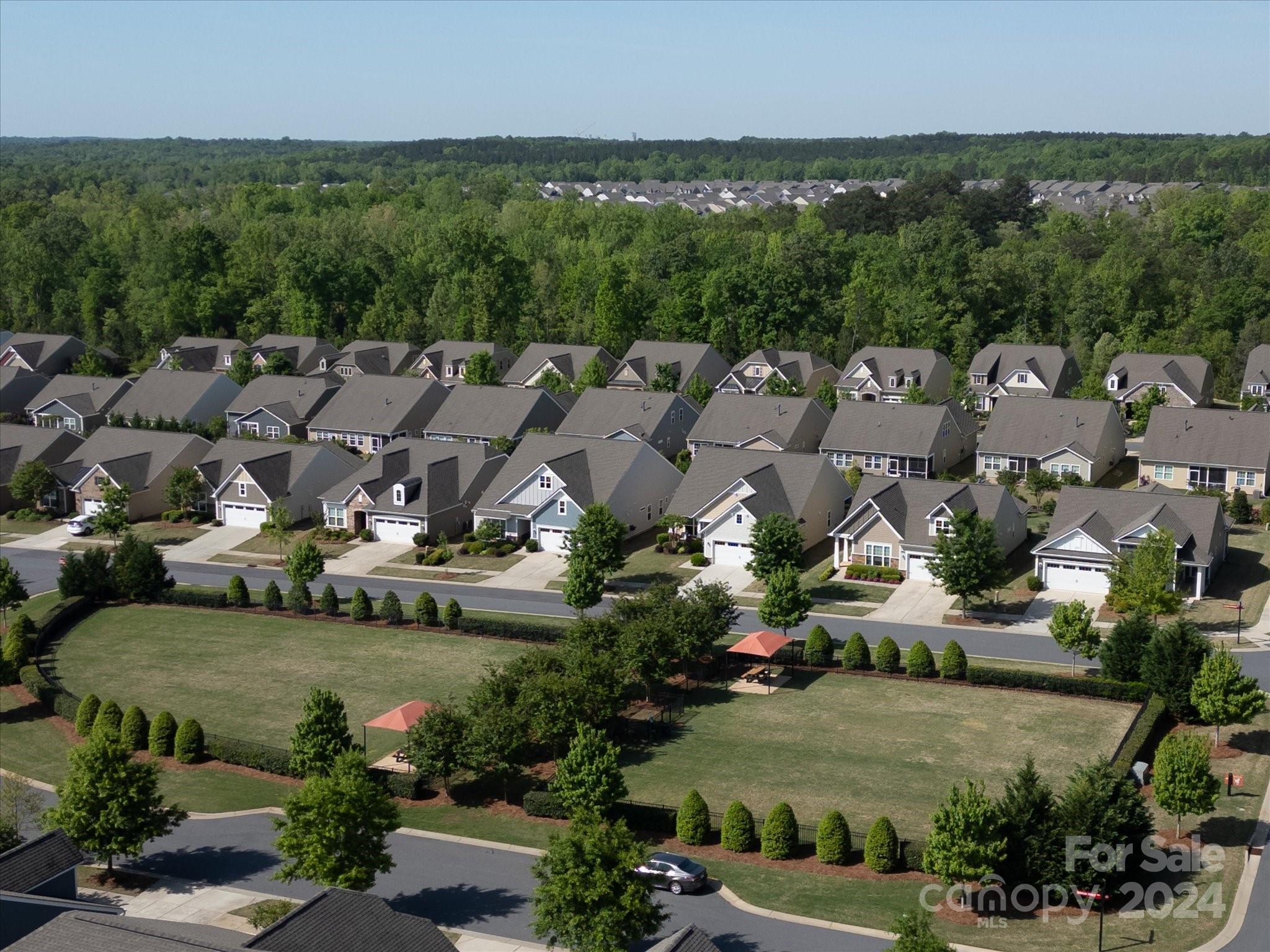 Tree tops - Residential