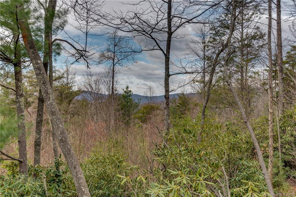 Shadow Run Ridge - Residential