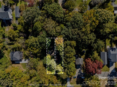 Photo of 805 Holland Avenue, Charlotte, NC 28206 (MLS # 4436777)
