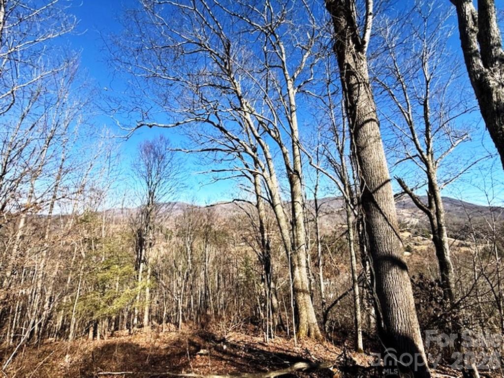 Lot 9 Vilas Overlook Drive 9