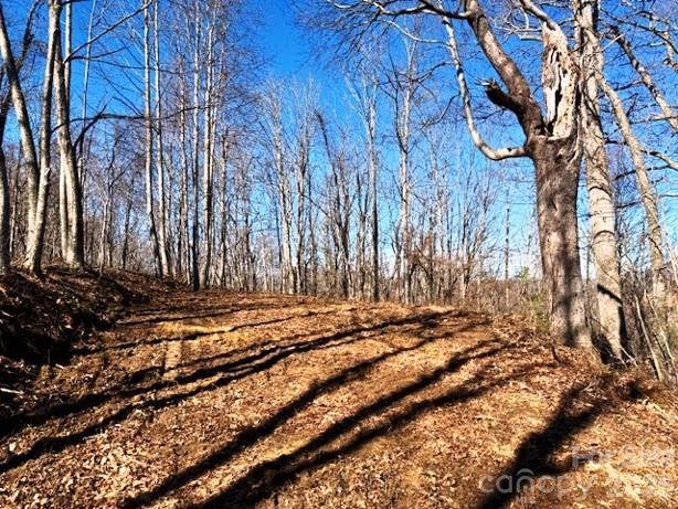 Lot 9 Vilas Overlook Drive 9