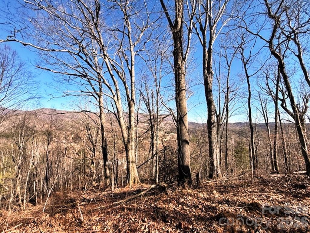 Lot 9 Vilas Overlook Drive 9