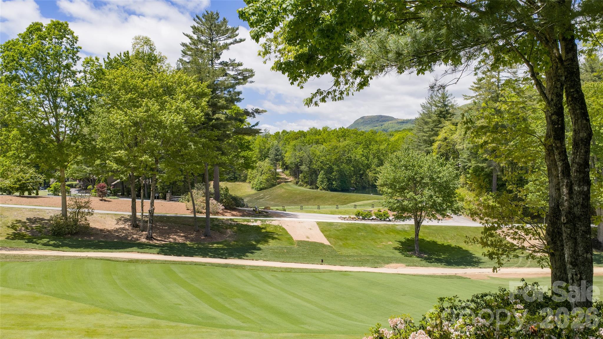 Burlingame - Residential
