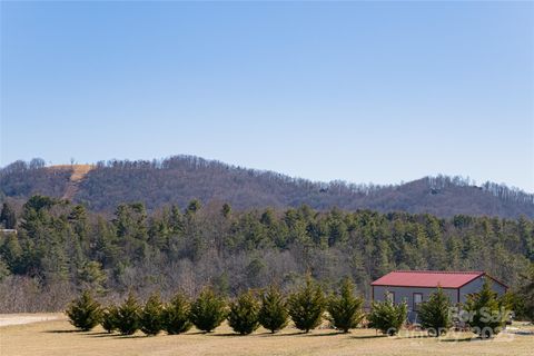 A home in Hendersonville