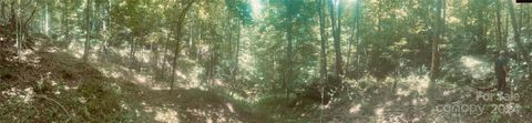 000 Chimney Log Road Marshall NC 28753