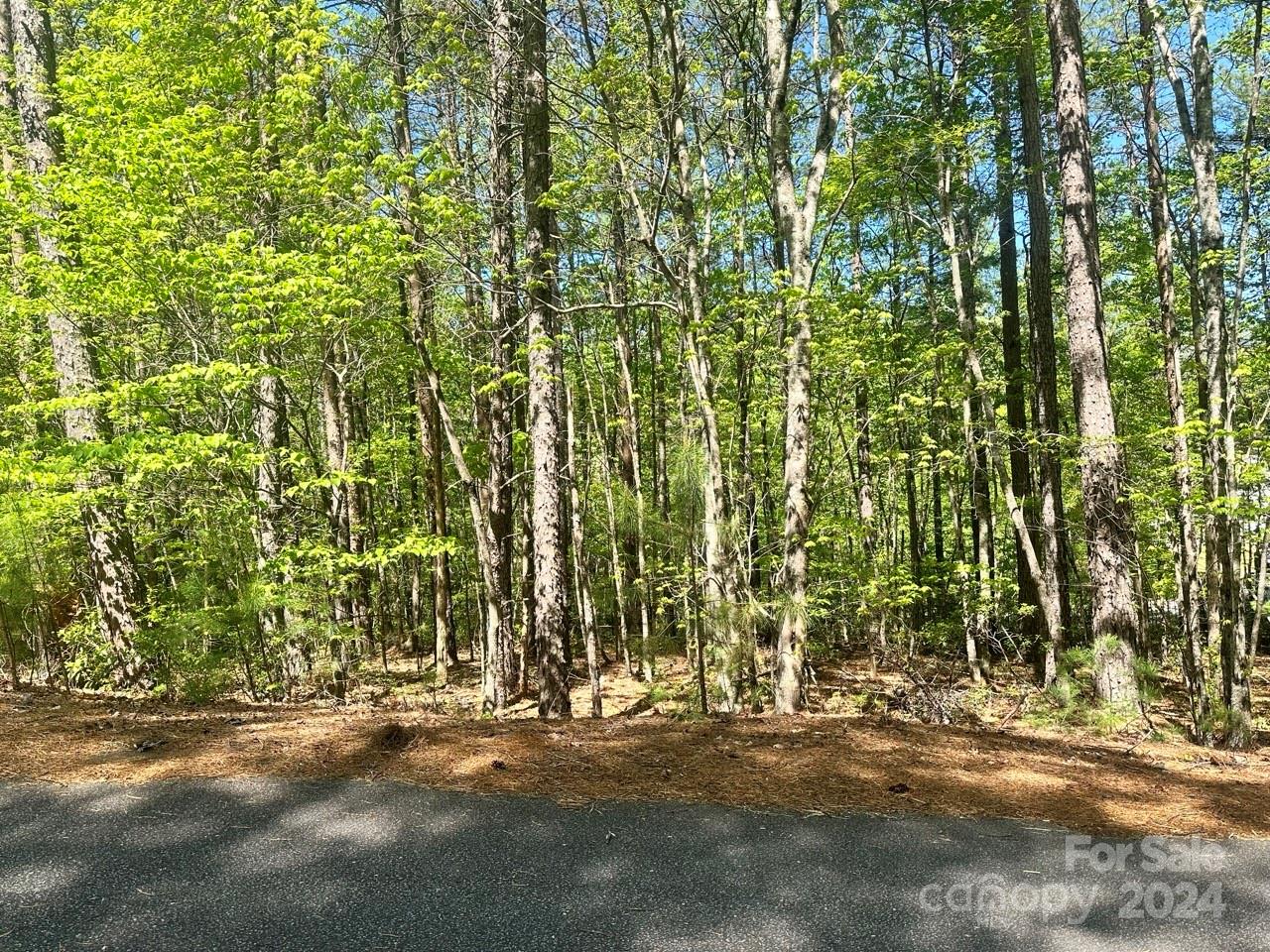 Pisgah Preserve - Land