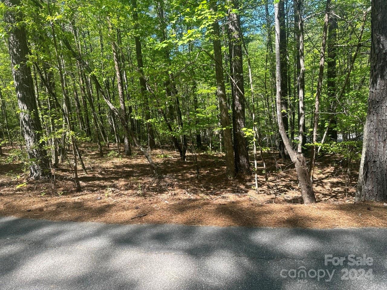 Pisgah Preserve - Land