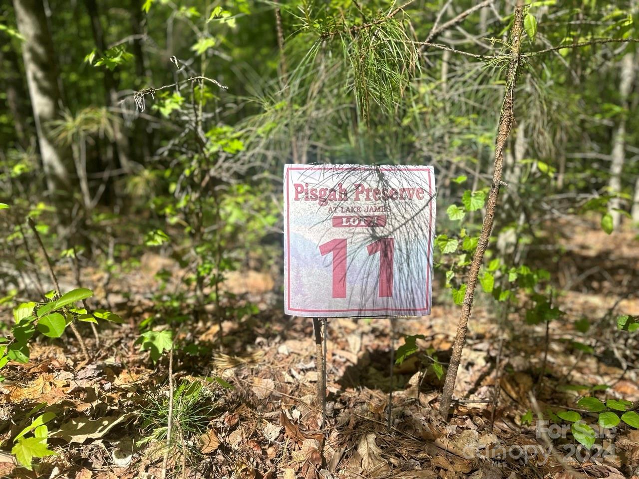 Pisgah Preserve - Land