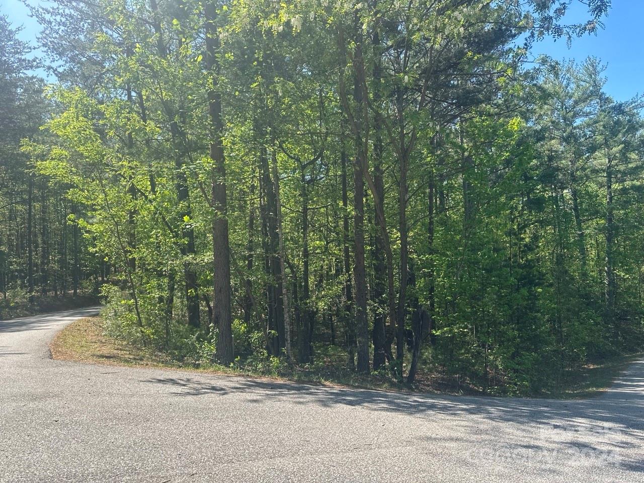 Pisgah Preserve - Land