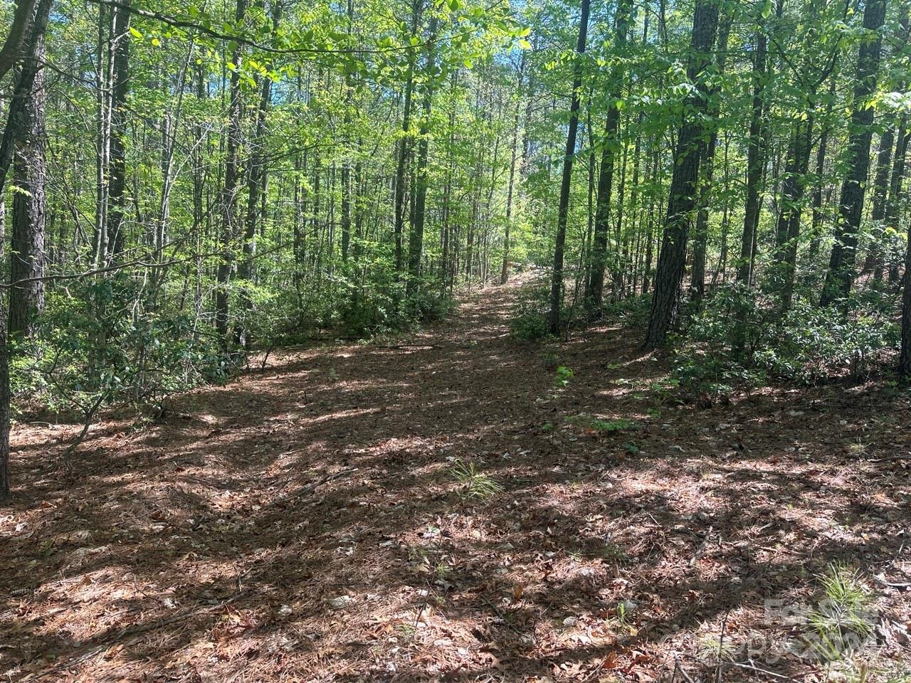 Pisgah Preserve - Land