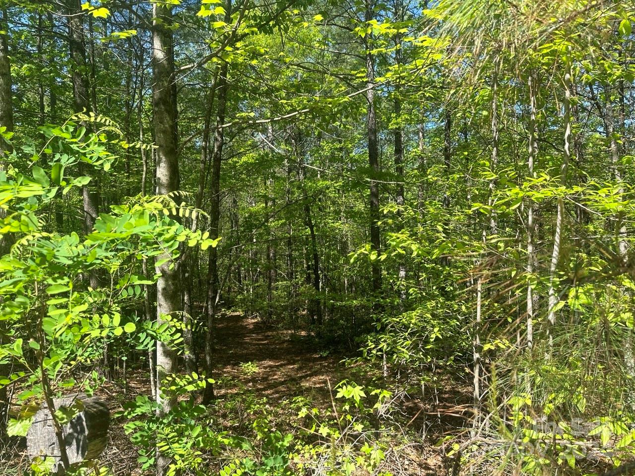 Pisgah Preserve - Land