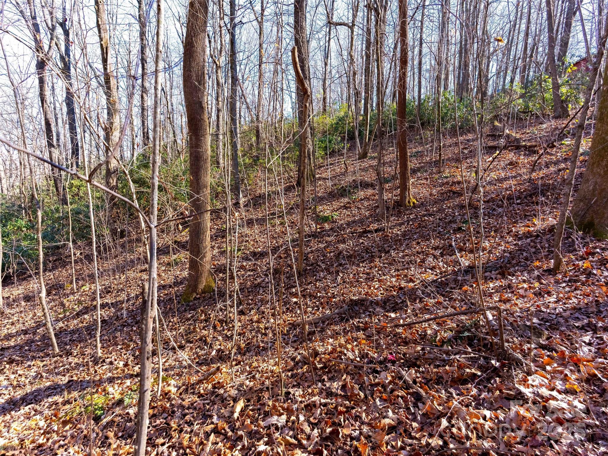 Mountain View - Land