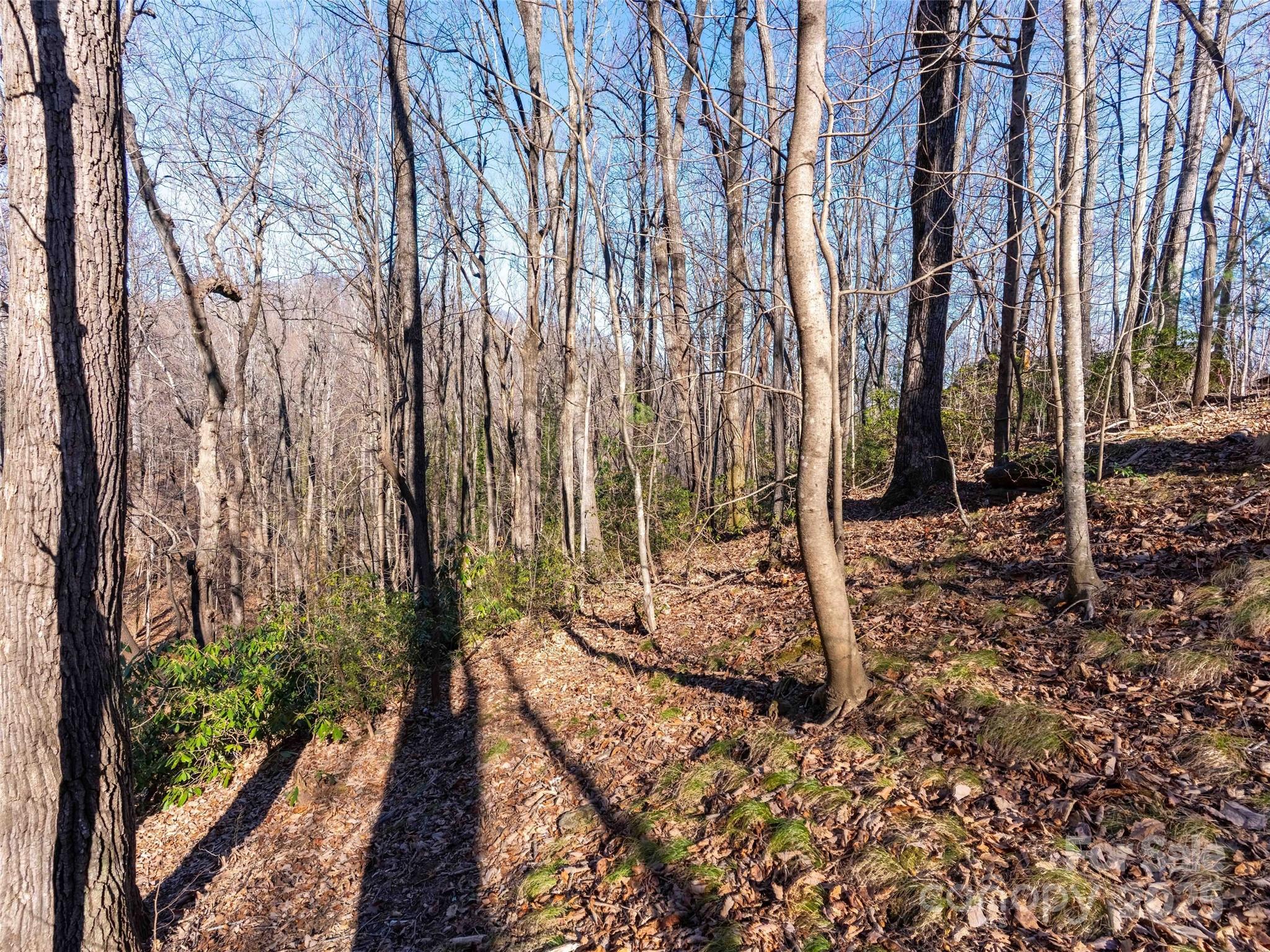 Mountain View - Land