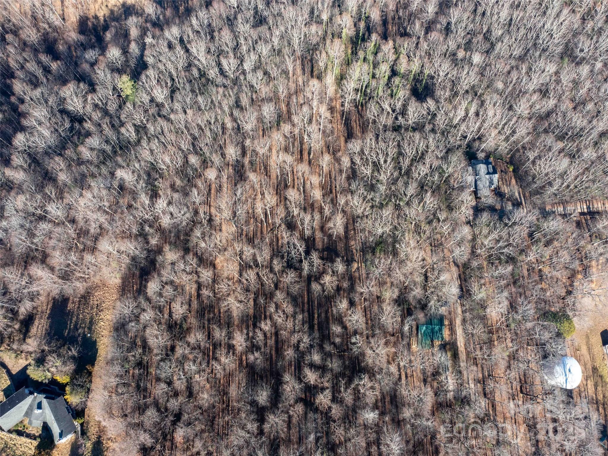 Mountain View - Land