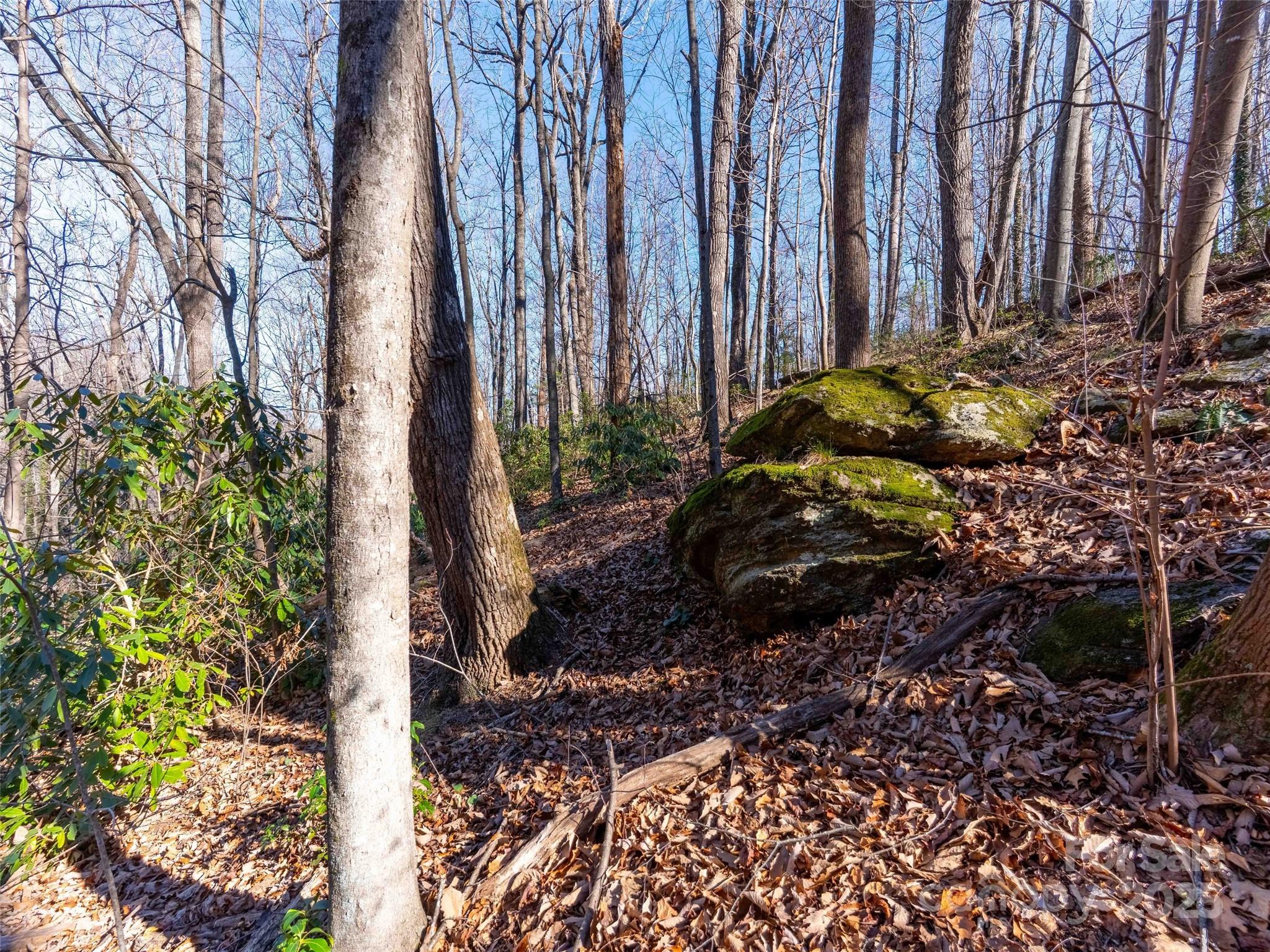 Mountain View - Land