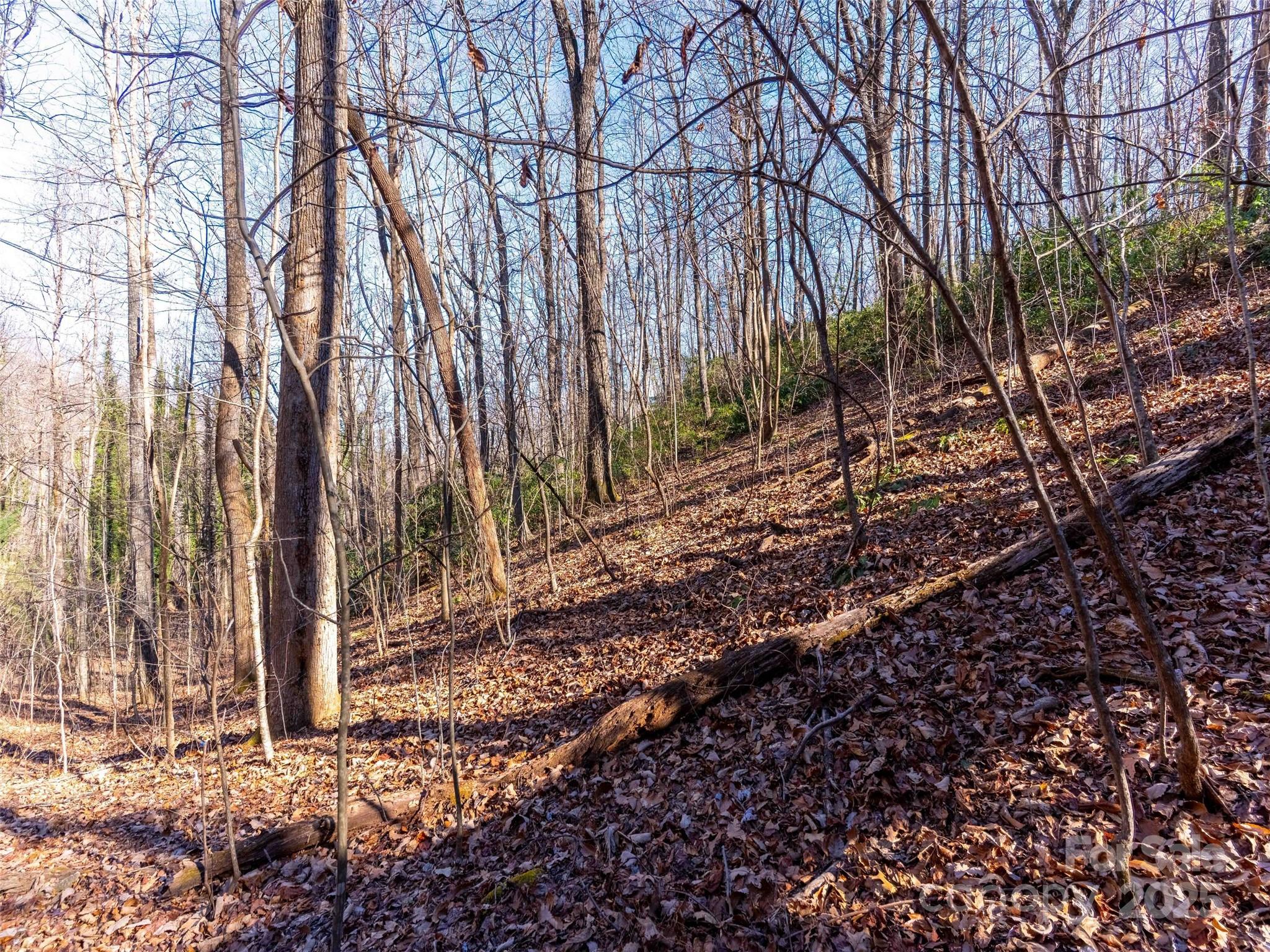 Mountain View - Land