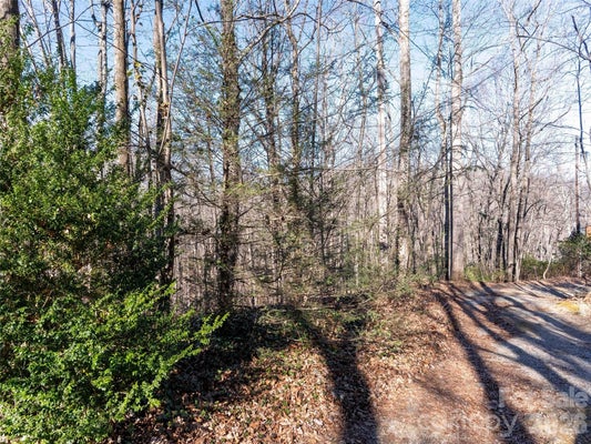 58 MOUNTAIN PAGE RD 17, SALUDA, NC 28773 - Image 2aedde63a95d26a7eb612d0c4fc8bca0/329217485