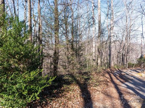 00 Mountain Page Road 17,18,19 Saluda NC 28773