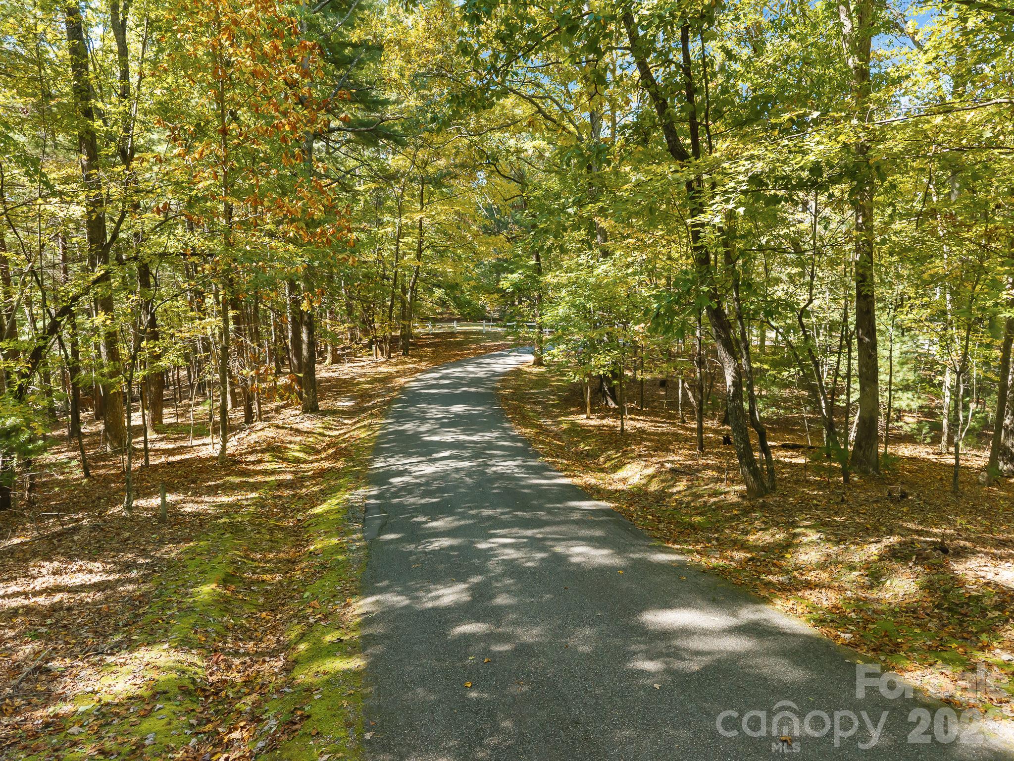 Lot 15 Spanish Oak Drive 15
