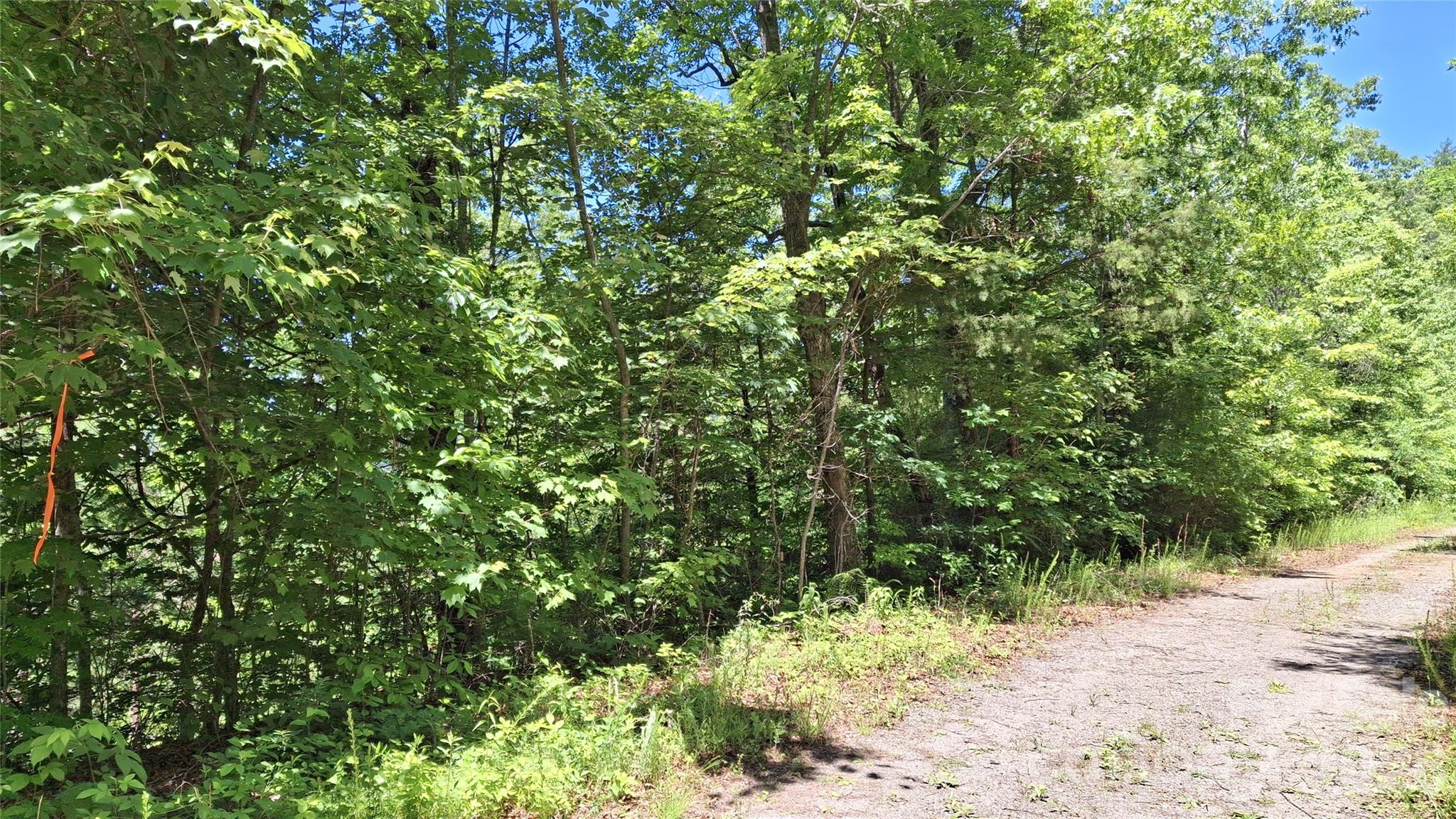 272 Kako Ridge 64