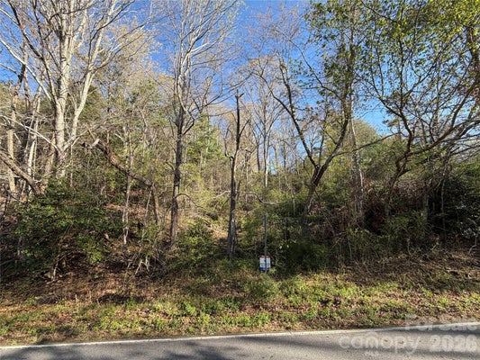 219 BEE RIDGE RD, ASHEVILLE, NC 28803 - Image 2b0e7b360735b53b2c75eaccc48b1865/1874183055