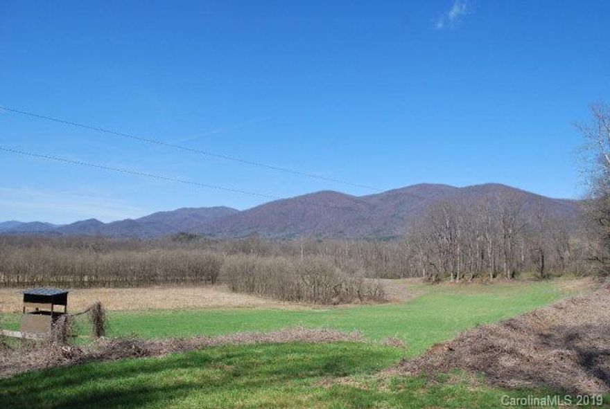 Beautiful wooded parcel 55.4+/- acres of land with approximately 12+/- acre open field.  Country privacy with convenient location to I-40 & Marion amenities.  Located in the Pleasant Gardens/Greenlee area this property offers beautiful views of Mackey's Mountain and located within walking distance to the Catawba River.  Unrestricted parcel has a lot of potential for private farm, home site, sub-division, and/or recreational uses.  Small spring fed creek also on the property.  Owner/Broker