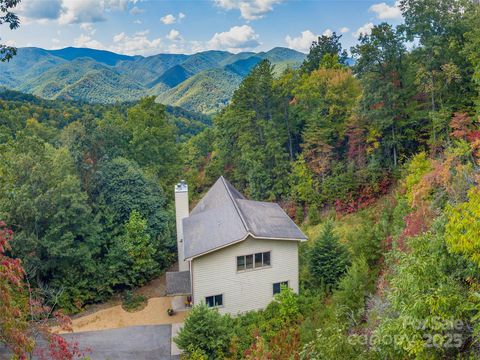 1159 Mount Chalet Road Canton NC 28716