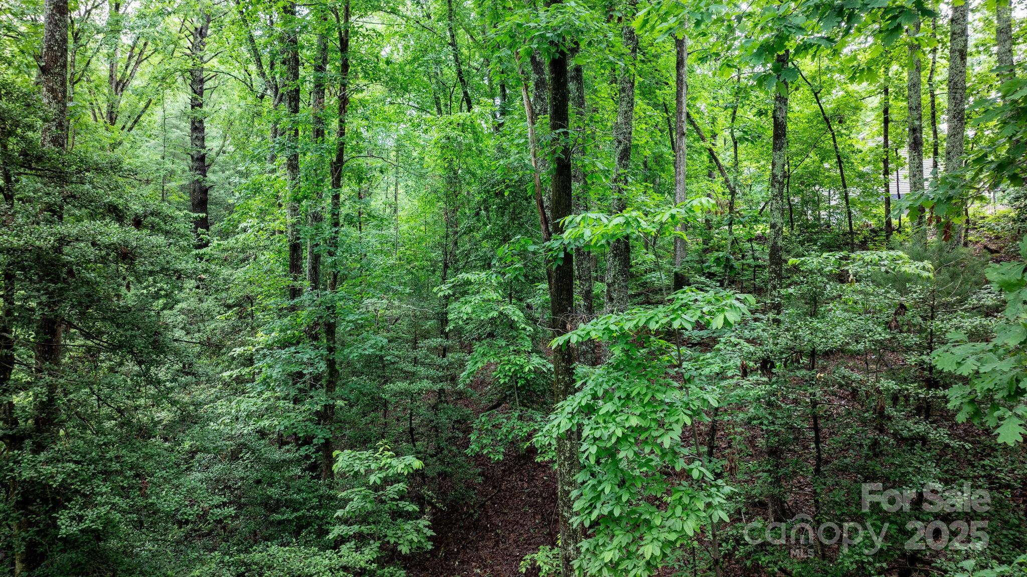 765 Tanglecliff Street SE