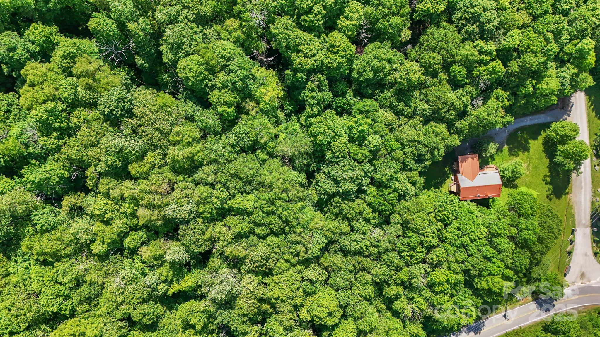 233 Woodland Springs Trail 14