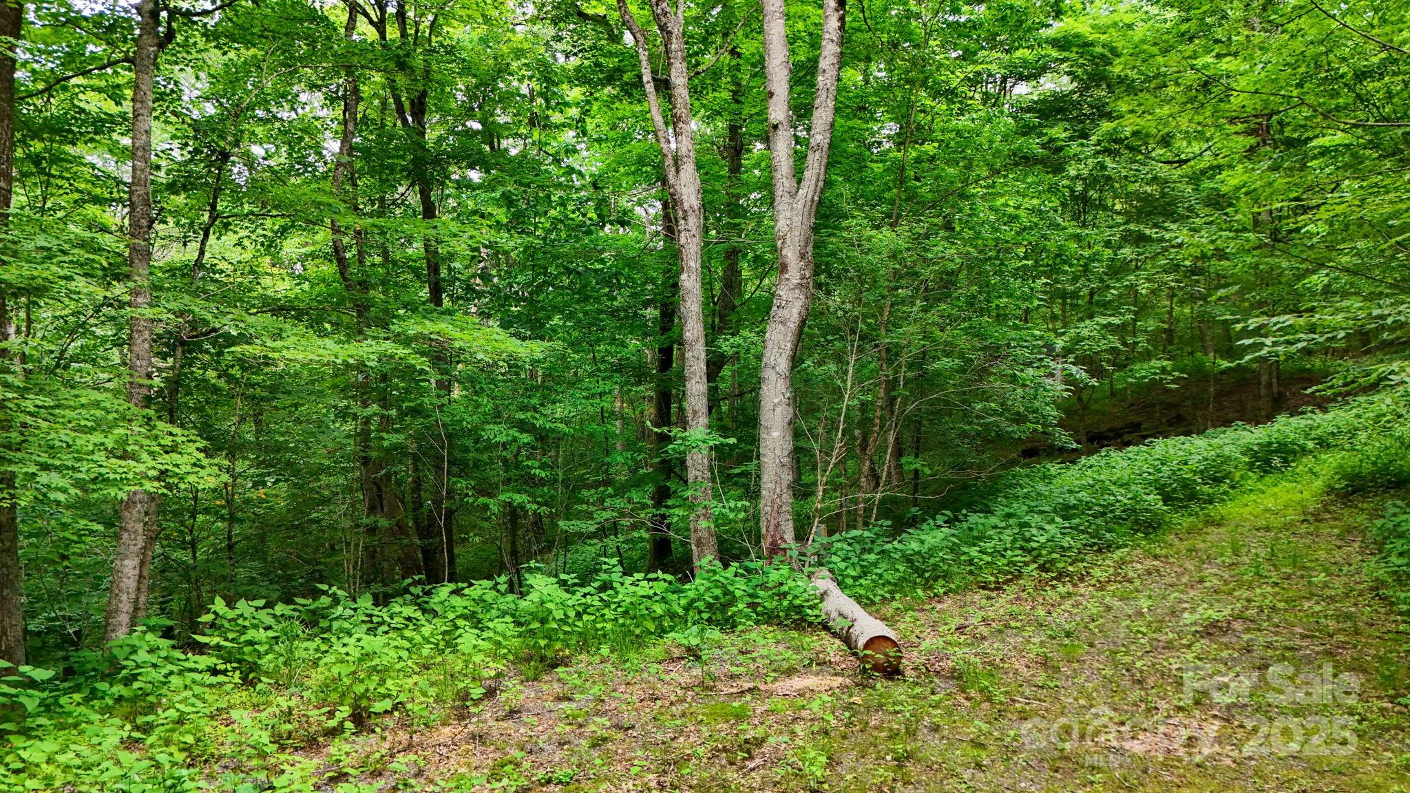 233 Woodland Springs Trail 14