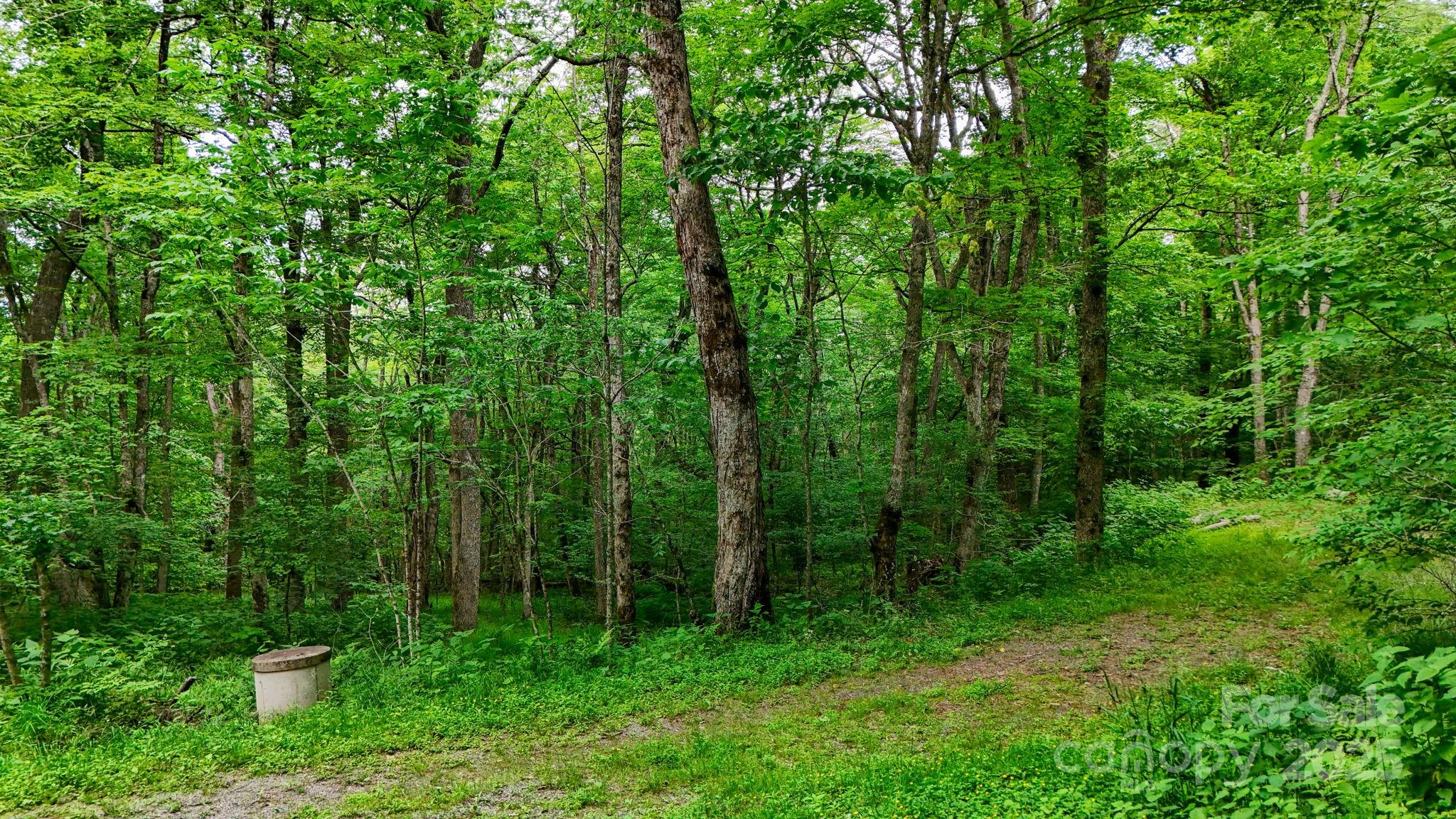 233 Woodland Springs Trail 14